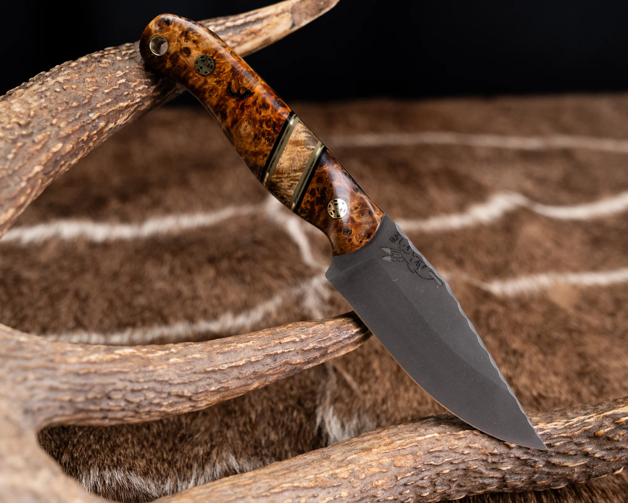 Feather Light- Amboyna Burl