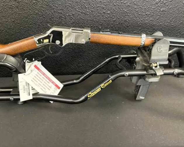 Henry Repeating Arms Golden Silver Boy .22 WMR
