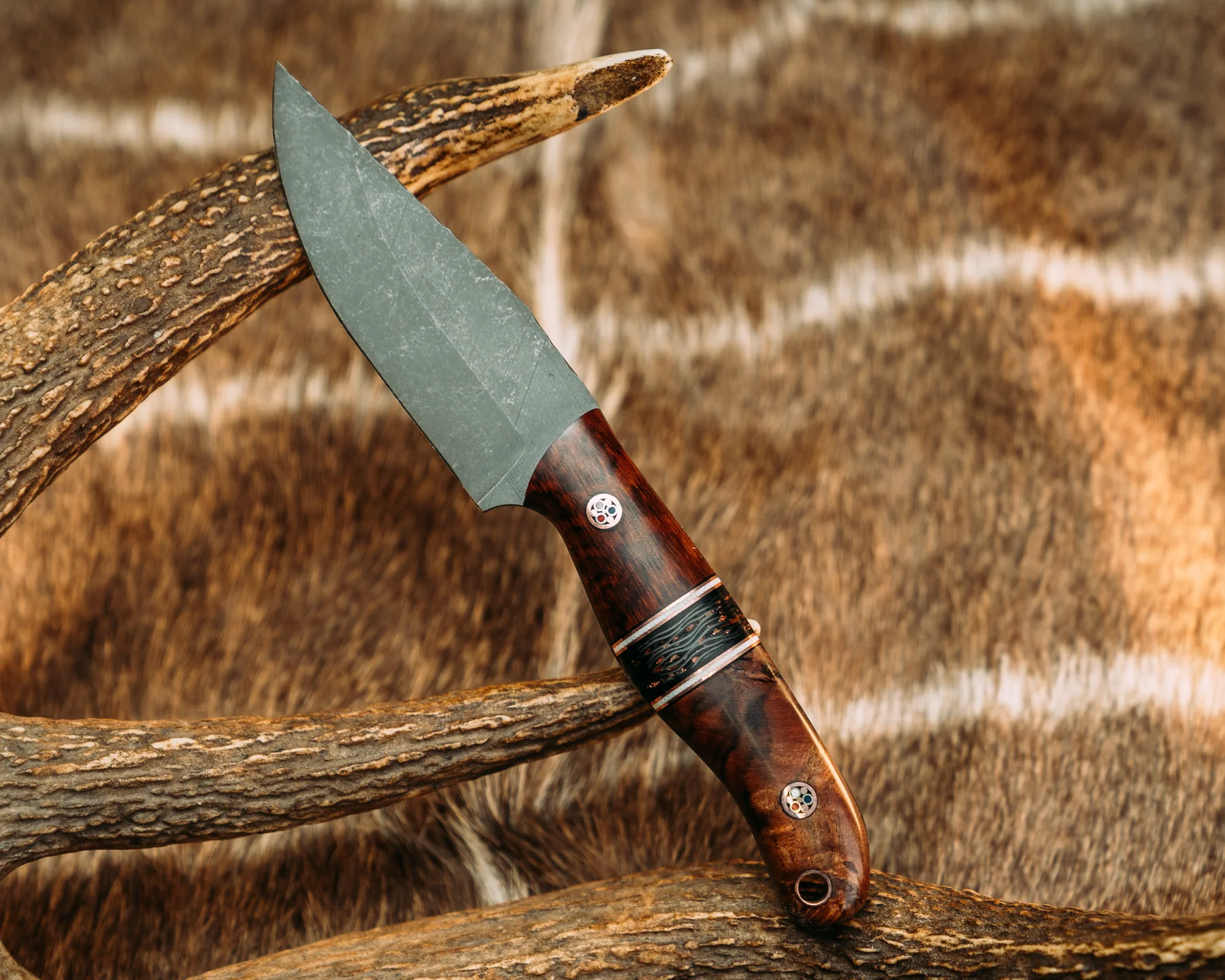 Feather Light - Snakewood - Image 2