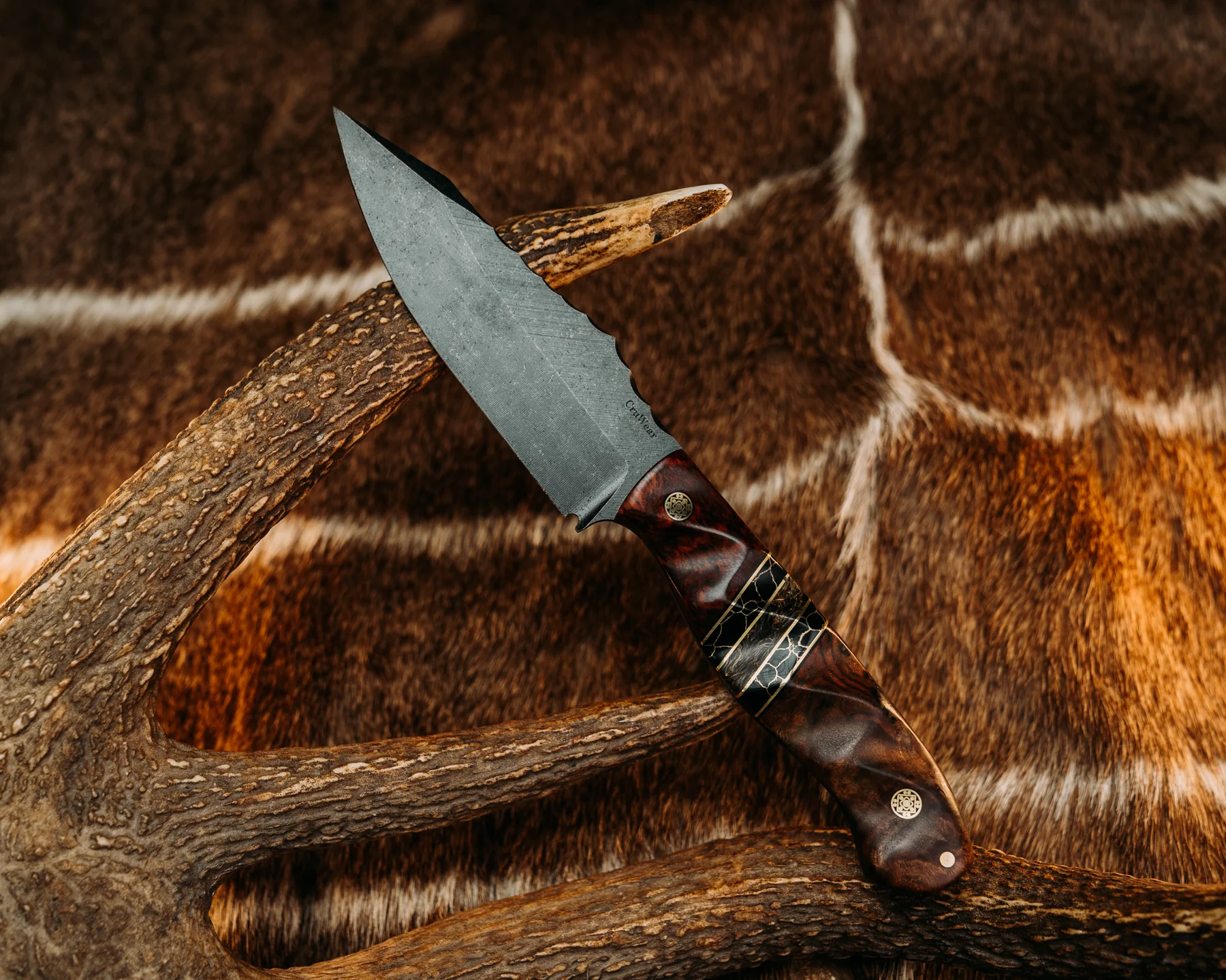 Field Knife - Snakewood - Image 2